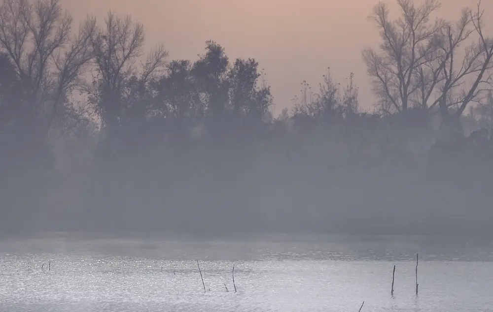Foggy morning over a Minnesota lake with calm water and silhouettes of trees in the background.